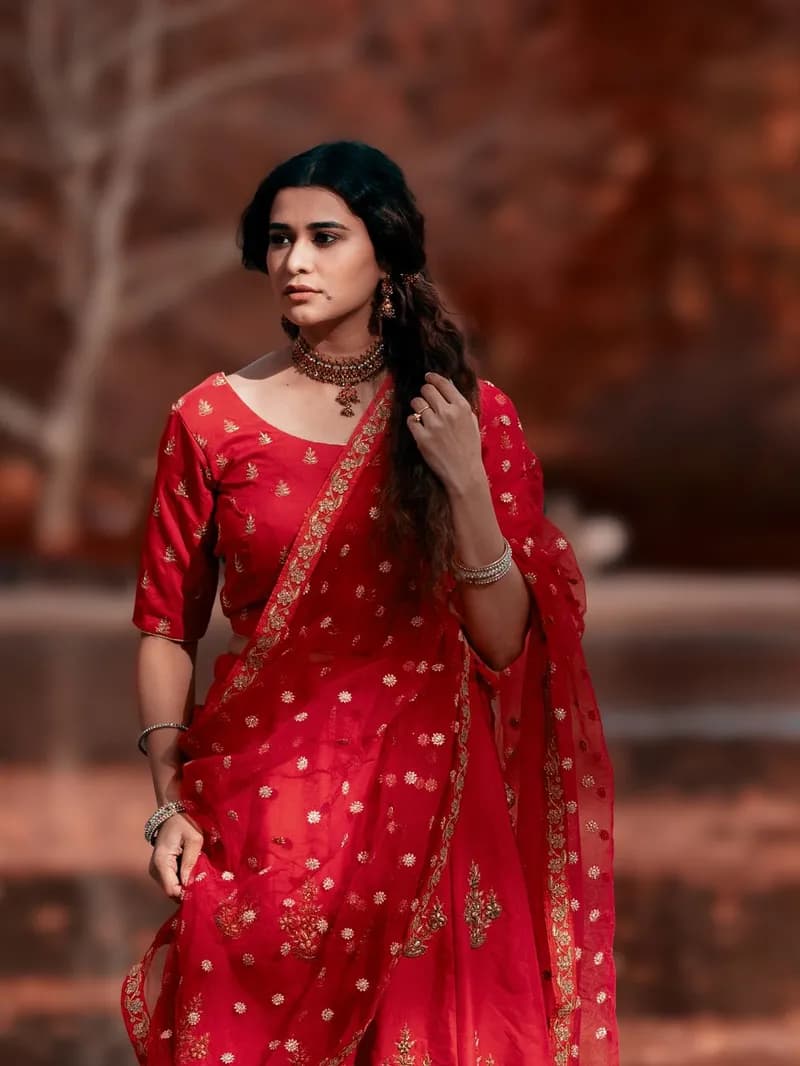Georgette Ruffle Saree