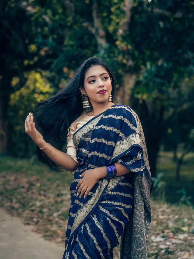 Chiffon Sequin Saree